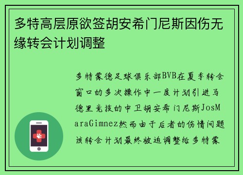 多特高层原欲签胡安希门尼斯因伤无缘转会计划调整