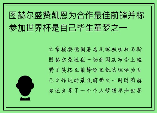 图赫尔盛赞凯恩为合作最佳前锋并称参加世界杯是自己毕生童梦之一